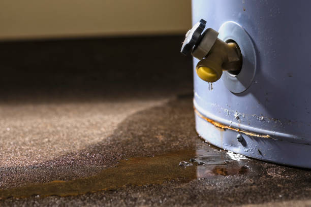 Best Basement water damage restoration  in Winters, TX