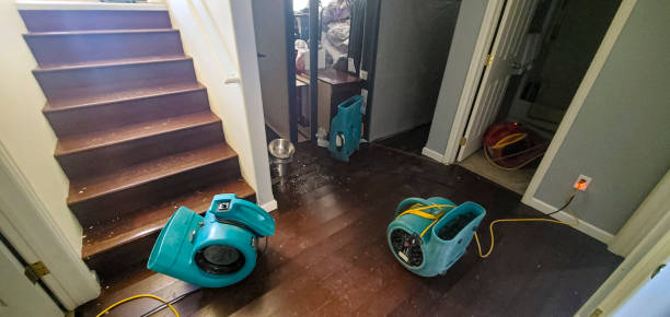 Best Water damage contractors near me  in Winters, TX