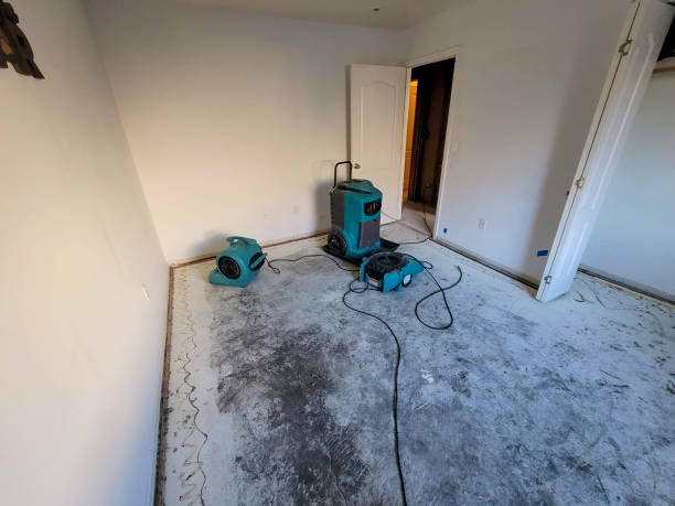 Best Mold removal after water damage  in Winters, TX