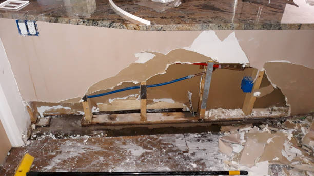 Best Local water damage restoration  in Winters, TX