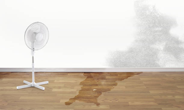 Best Water damage cleanup near me  in Winters, TX