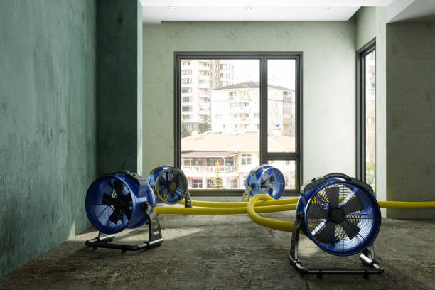 Carpet water damage restoration in Winters, TX