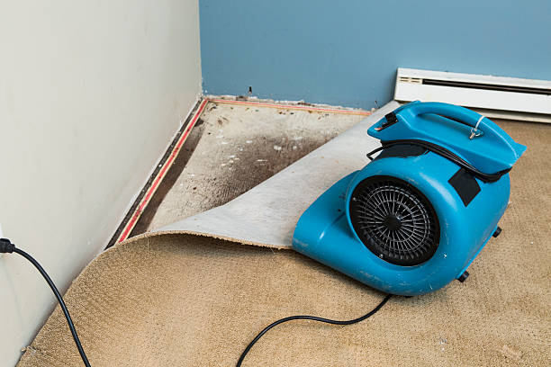 Trusted Winters, TX Water damage restoration Experts